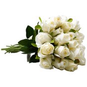 Wholesale - Cream Rose Stem 20.5" C/P 288, UPC: 763713423176